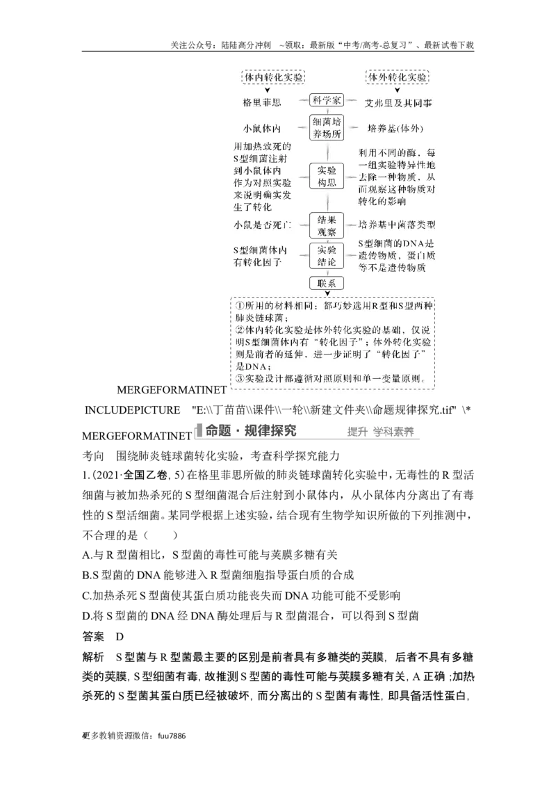 《第16讲DNA是主要的遗传物质_06-生物-高考总复习_一轮复习_2024年_2024高考生物大一轮复习课件讲义新人教版知识总结_2024年高考生物一轮复习讲义（新人教版）_另赠1套Word版题库_必修2》第4页预览