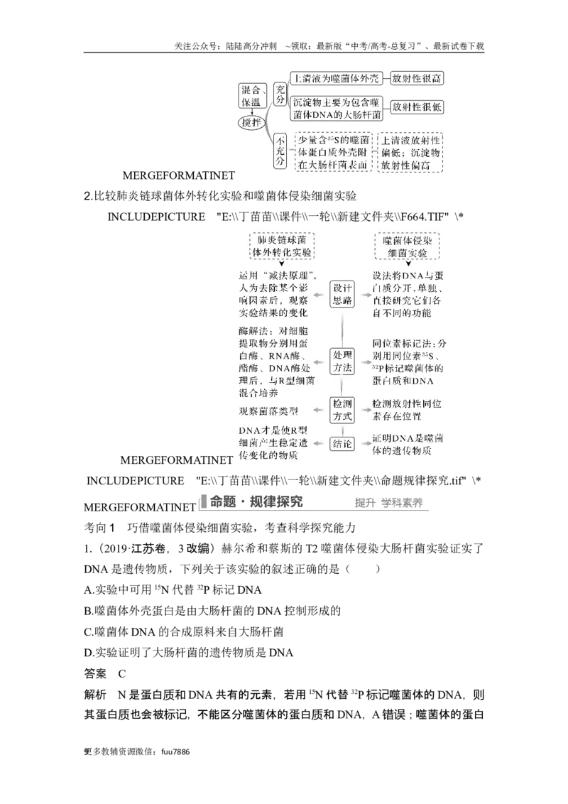 《第16讲DNA是主要的遗传物质_06-生物-高考总复习_一轮复习_2024年_2024高考生物大一轮复习课件讲义新人教版知识总结_2024年高考生物一轮复习讲义（新人教版）_另赠1套Word版题库_必修2》第9页预览