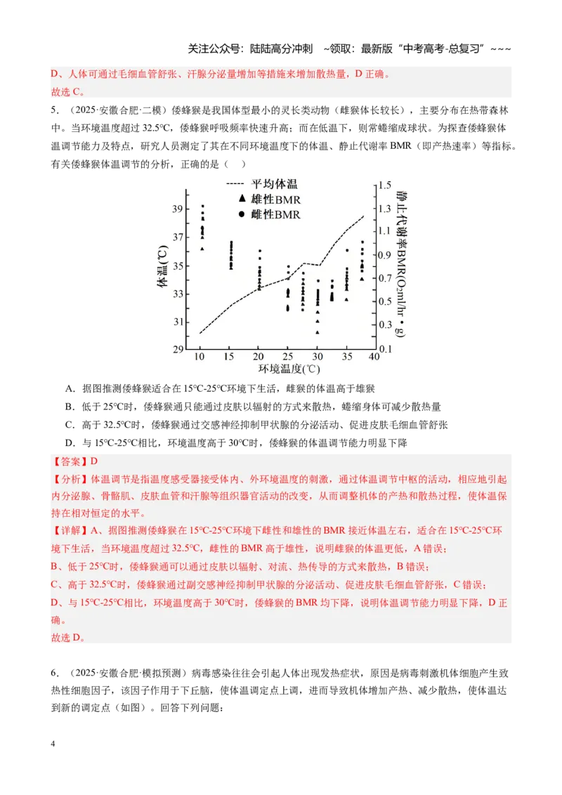 《第28讲神经调节和体液调节关系（专项训练）（安徽专用）（教师版）_06-生物-高考总复习_一轮复习_2026年-生物高考一轮复习_2026年高考生物一轮课件+讲义+练习（安徽专用）-G326》第4页预览