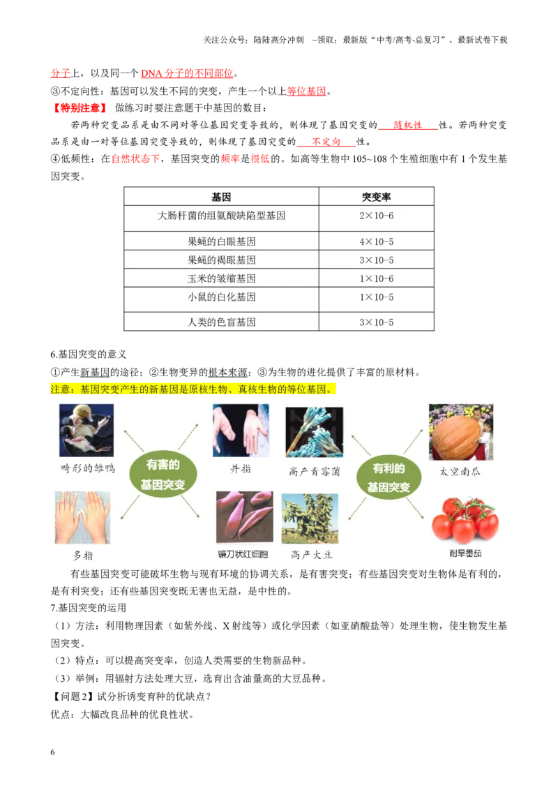 《第22讲生物的变异（第一课时，基因突变和基因重组）（讲义）（教师版）_06-生物-高考总复习_一轮复习_2025年_2025年高考生物一轮复习讲义+练习+课件（新教材新高考）》第6页预览