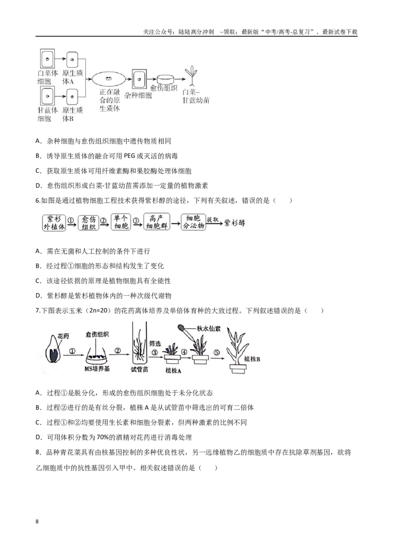 《考点12细胞工程与胚胎工程（原卷版）_06-生物-高考总复习_二轮复习_2024年_2024年高考生物二轮复习考点归纳与解题策略新高考_资料》第8页预览