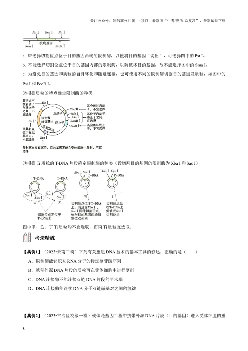 《考点49基因工程的工具及操作程序（讲义）（原卷版）_06-生物-高考总复习_一轮复习_2024年_2023-2024学年高三生物一轮复习_资料》第8页预览