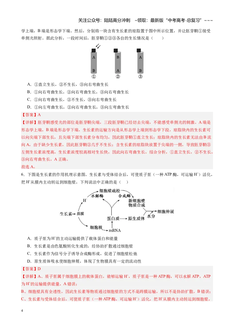《第31讲植物生命活动调节（专项训练）（四川专用）（教师版）_06-生物-高考总复习_一轮复习_2026年-生物高考一轮复习_2026年高考生物一轮课件+讲义+练习（四川专用）-G335》第4页预览