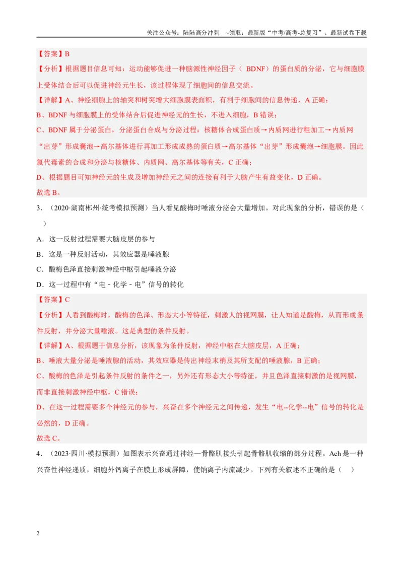 《解密15神经调节（分层训练）（解析版）_06-生物-高考总复习_二轮复习_2024年_2024年新教材高考生物二轮复习讲义分层训练题考点_资料》第2页预览