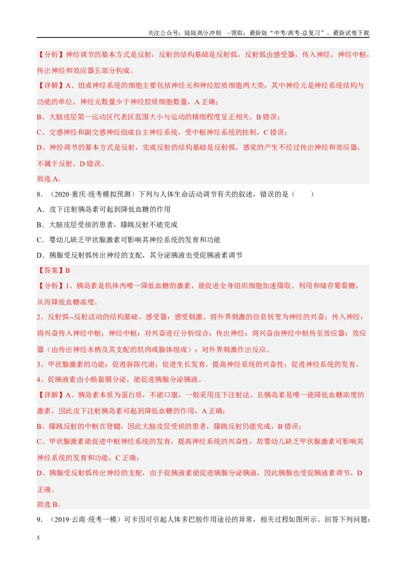 《解密15神经调节（分层训练）（解析版）_06-生物-高考总复习_二轮复习_2024年_2024年新教材高考生物二轮复习讲义分层训练题考点_资料》第5页预览