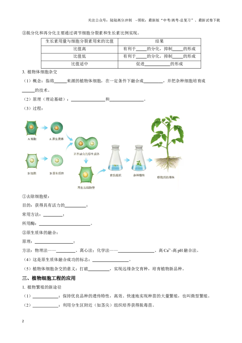 《考点46植物细胞工程（讲义）（原卷版）_06-生物-高考总复习_一轮复习_2024年_2023-2024学年高三生物一轮复习_资料》第2页预览