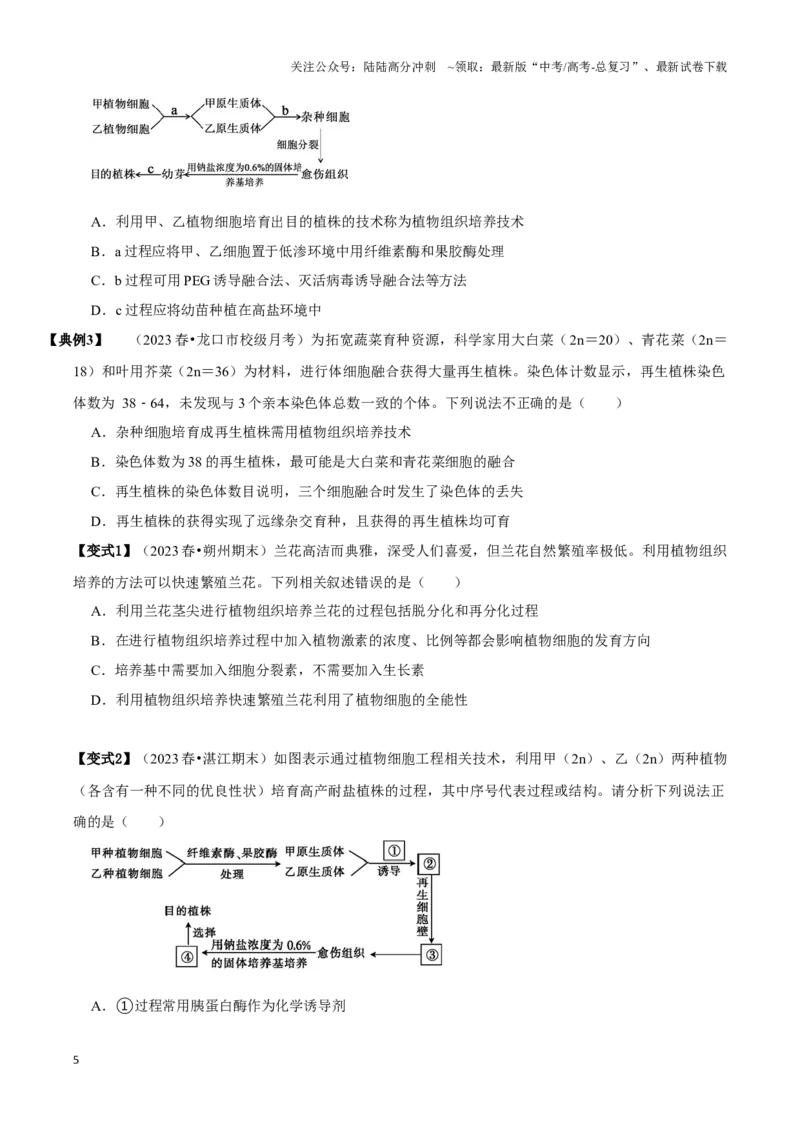 《考点46植物细胞工程（讲义）（原卷版）_06-生物-高考总复习_一轮复习_2024年_2023-2024学年高三生物一轮复习_资料》第5页预览