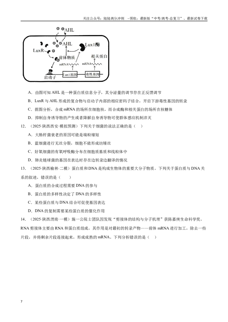 《猜押05遗传的分子基础、变异和进化（学生版）_06-生物-高考总复习_专项复习_2025年_2025年高考生物抢押秘籍（陕西、山西、宁夏、青海专用）》第7页预览