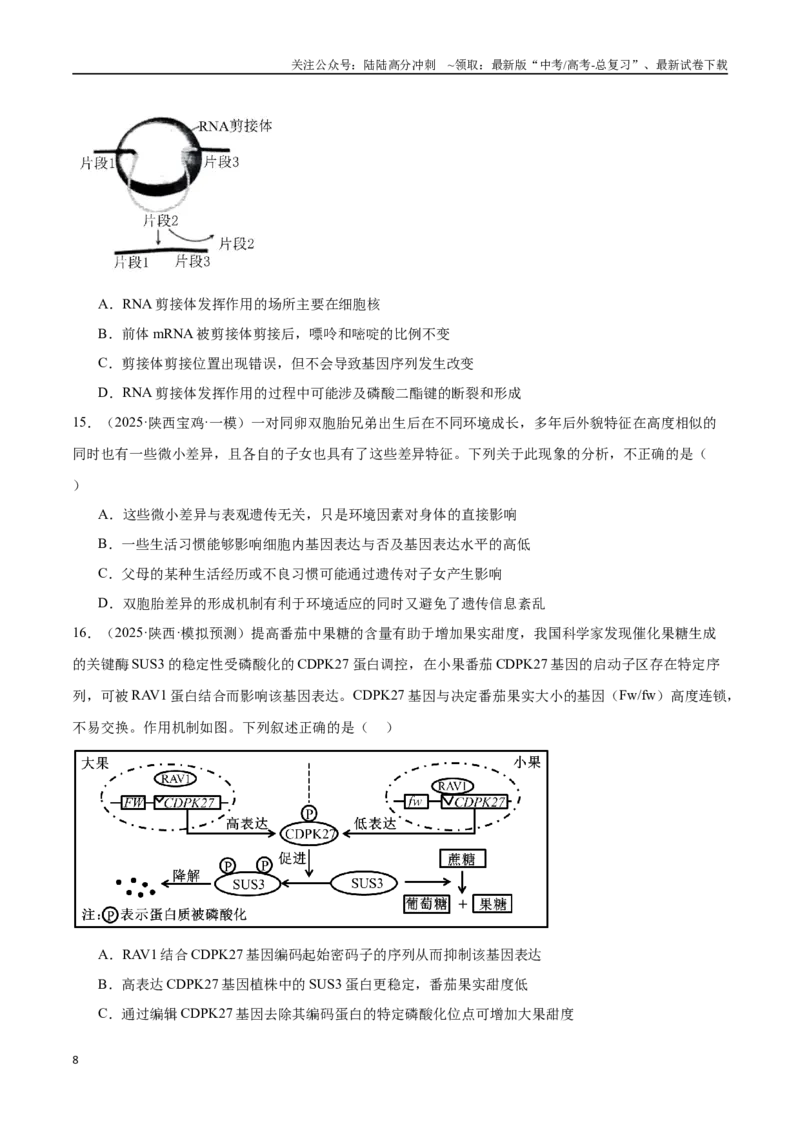 《猜押05遗传的分子基础、变异和进化（学生版）_06-生物-高考总复习_专项复习_2025年_2025年高考生物抢押秘籍（陕西、山西、宁夏、青海专用）》第8页预览