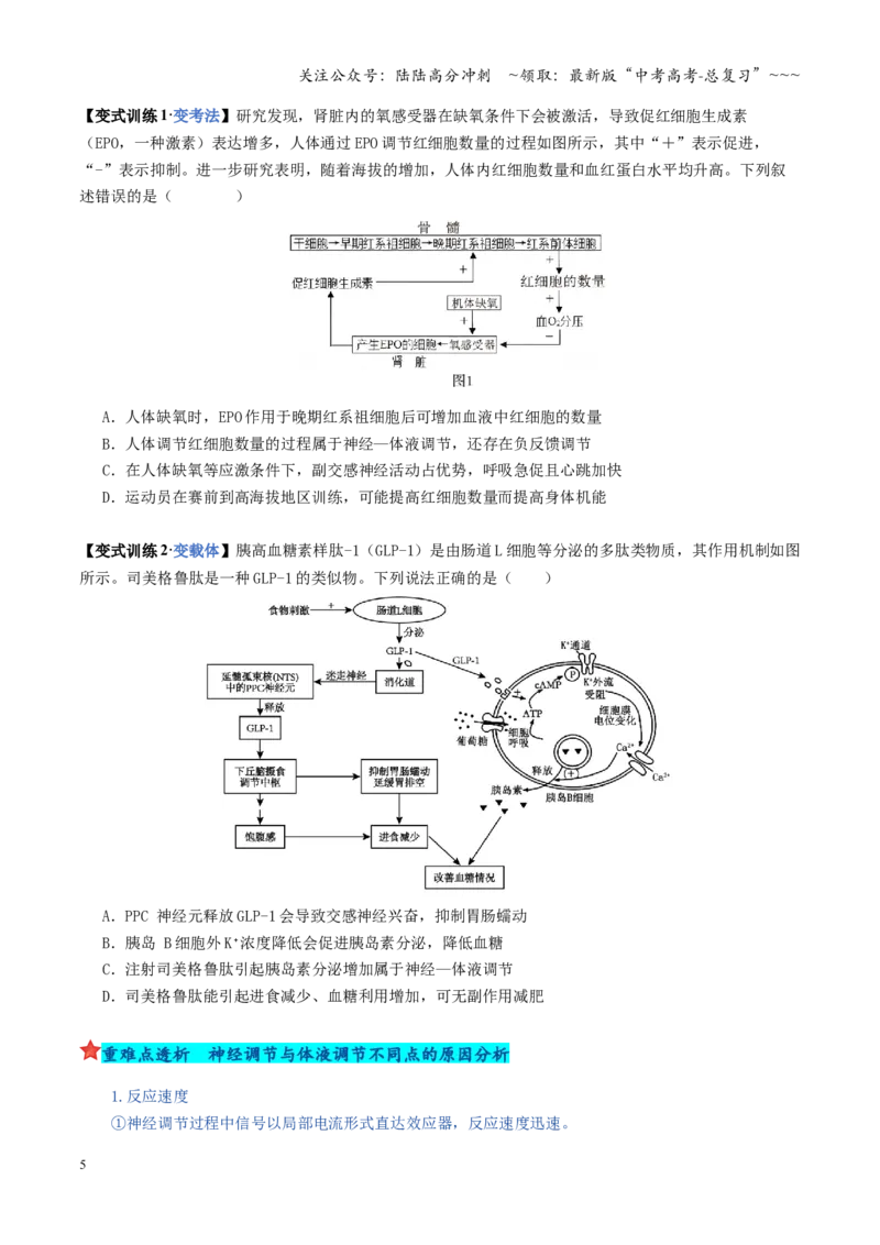 《第27讲神经调节与体液调节的关系（复习讲义）（全国通用）（学生版）_06-生物-高考总复习_一轮复习_2026年-生物高考一轮复习_2026年高考生物一轮复习讲义+练习+课件（新教材新高考）-G55》第5页预览