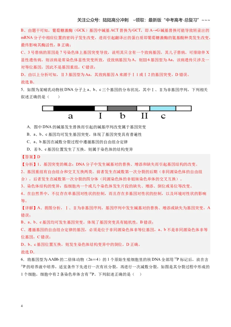 《第23讲生物的变异（专项训练）（安徽专用）（教师版）_06-生物-高考总复习_一轮复习_2026年-生物高考一轮复习_2026年高考生物一轮课件+讲义+练习（安徽专用）-G326》第4页预览