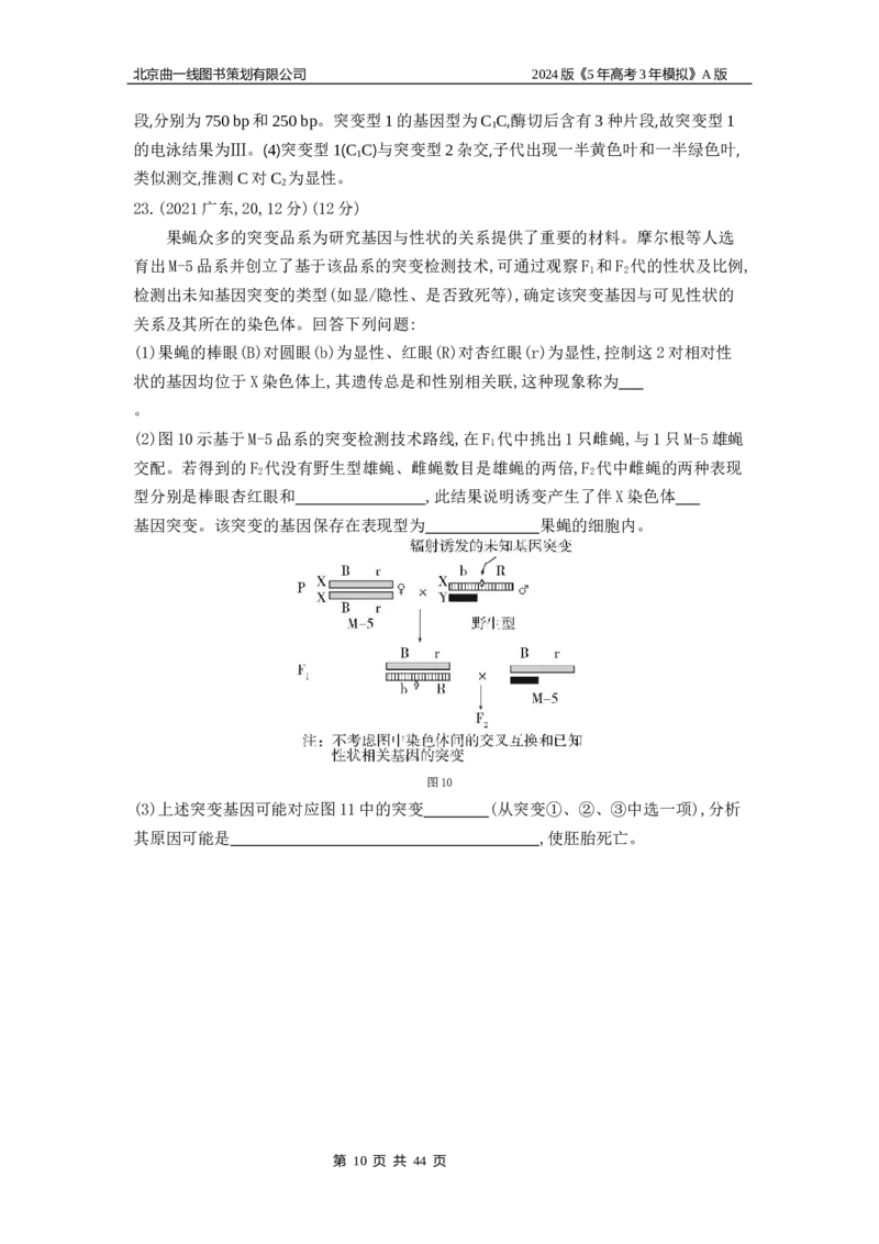 《1_1_4.专题十四生物的变异与育种_2024版教学资源包_2024版.新高考版生物.5·3A版_14_专题十四生物的变异与育种_5_10年高考真题分类题组》第10页预览