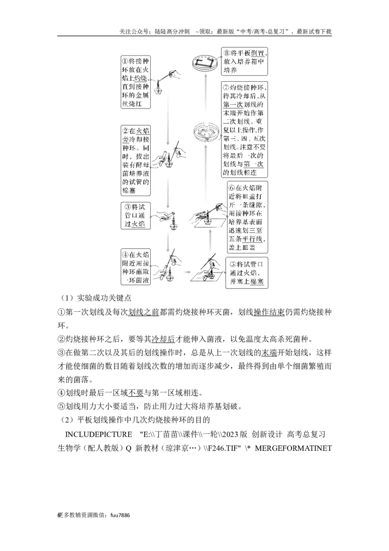 《第33讲微生物的培养技术及应用_06-生物-高考总复习_一轮复习_2024年_2024高考生物大一轮复习课件讲义新人教版知识总结_2024年高考生物一轮复习讲义（新人教版）_另赠1套Word版题库》第6页预览