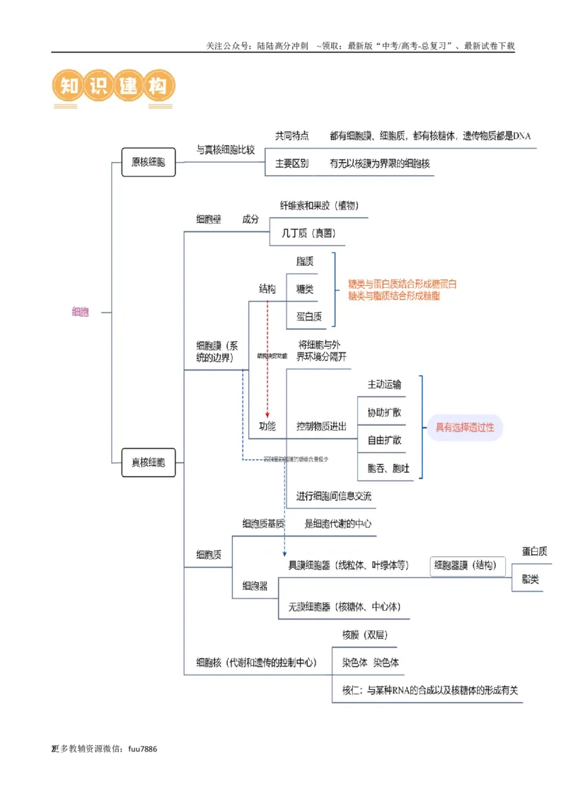 《第02讲细胞的基本结构、功能与物质进出细胞的方式（讲义）解析版_06-生物-高考总复习_二轮复习_2024年_2024年高考生物二轮复习讲练测（新教材新高考）_配套讲义》第2页预览