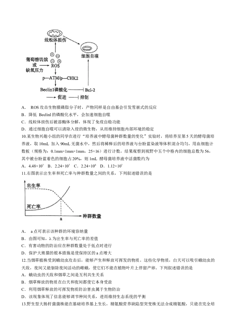 《15_2024山东省枣庄一模（试卷+答案）_2025版教学资源包_（总复习系列）2025版《5年高考3年模拟》新高考版B版（⭐全科）_2025版.新高考新教材版.选考总复习.生物.5·3B版_1_资源拓展》第4页预览