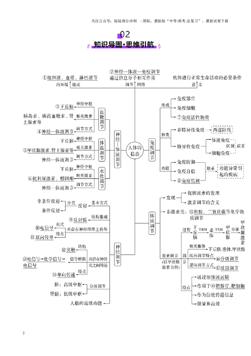 《第30讲动物生命活动调节的综合分析（讲义）（学生版）_06-生物-高考总复习_一轮复习_2025年_2025年高考生物一轮复习讲义+练习+课件（新教材新高考）_第八单元稳态与调节》第2页预览