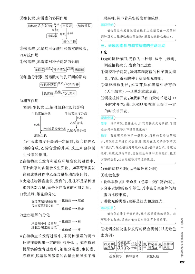 《1_20-专题二十　植物生命活动的调节（教参电子书—知识讲解）_2024版教学资源包_2024版.新高考版生物.5·3A版_20_专题二十植物生命活动的调节_4_PDF教参电子书》第4页预览
