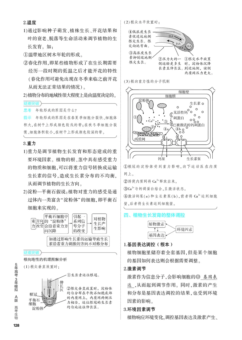 《1_20-专题二十　植物生命活动的调节（教参电子书—知识讲解）_2024版教学资源包_2024版.新高考版生物.5·3A版_20_专题二十植物生命活动的调节_4_PDF教参电子书》第5页预览