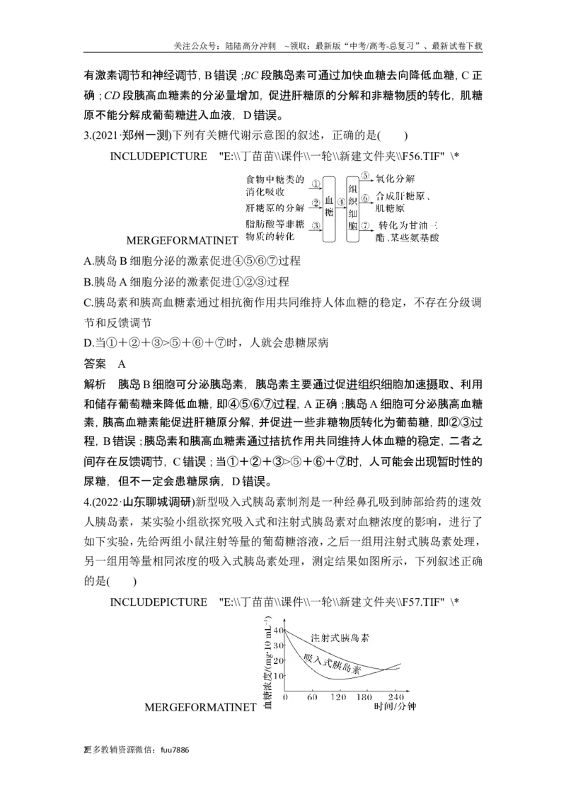 《热点微练16血糖调节(尖子生特训)_06-生物-高考总复习_一轮复习_2024年_2024高考生物大一轮复习课件讲义新人教版知识总结_2024年高考生物一轮复习讲义（新人教版）_另赠1套Word版题库》第2页预览