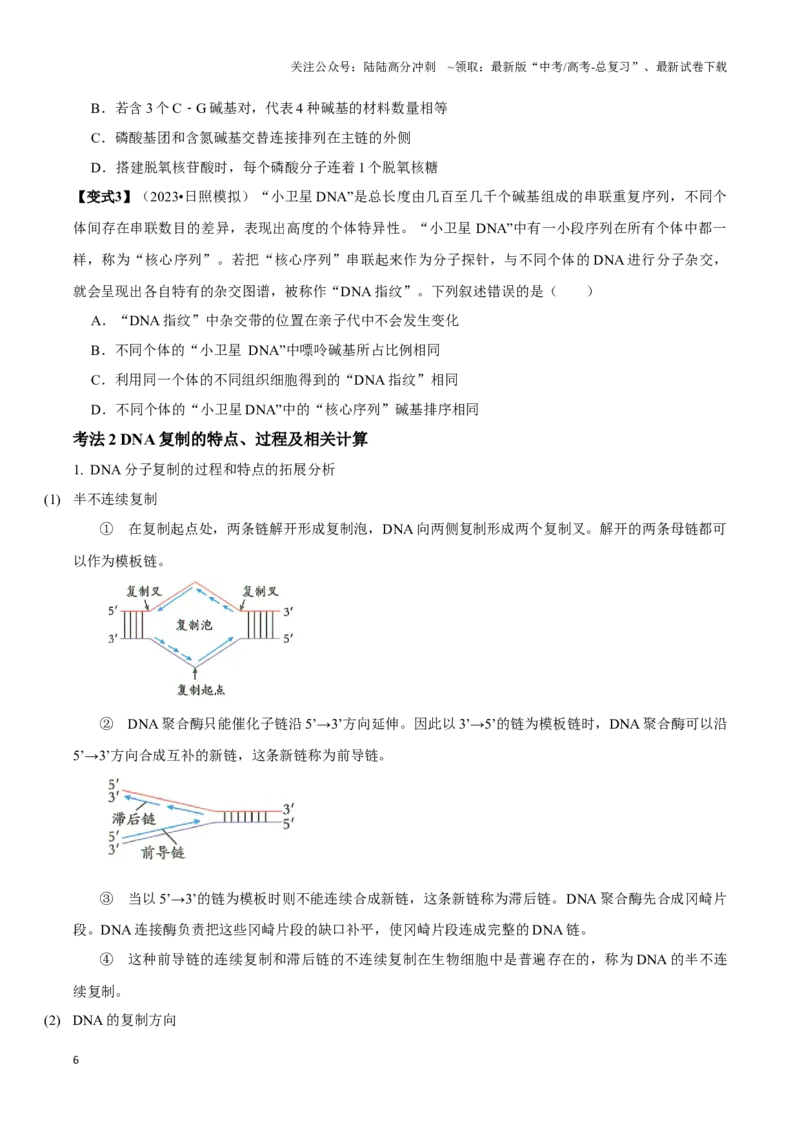 《考点22DNA的结构与复制（讲义）（原卷版）_06-生物-高考总复习_一轮复习_2024年_2023-2024学年高三生物一轮复习_资料》第6页预览