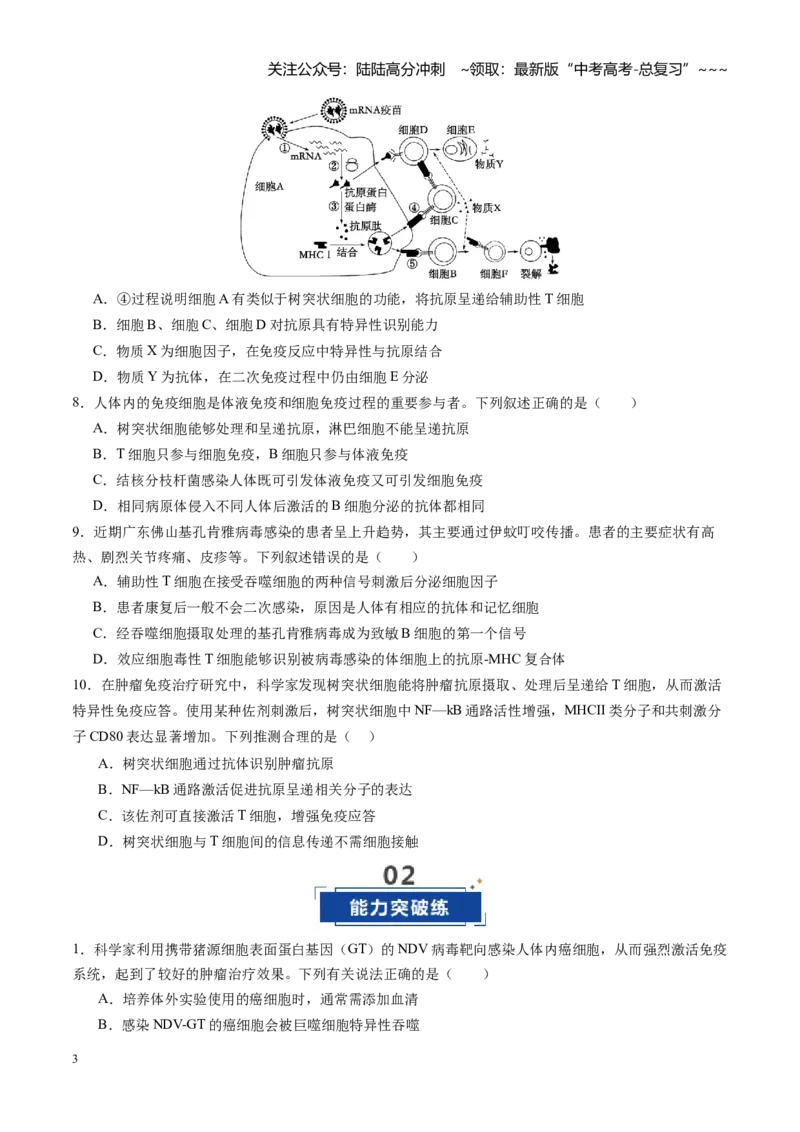 《第31讲免疫系统和特异性免疫（专项训练）（福建专用）（学生版）_06-生物-高考总复习_一轮复习_2026年-生物高考一轮复习_2026年高考生物一轮课件+讲义+练习（福建专用）-G328》第3页预览