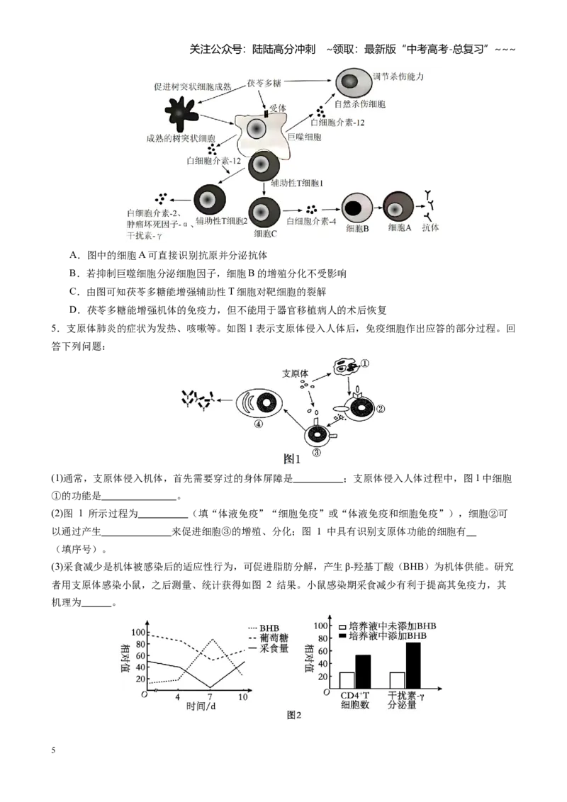 《第31讲免疫系统和特异性免疫（专项训练）（福建专用）（学生版）_06-生物-高考总复习_一轮复习_2026年-生物高考一轮复习_2026年高考生物一轮课件+讲义+练习（福建专用）-G328》第5页预览