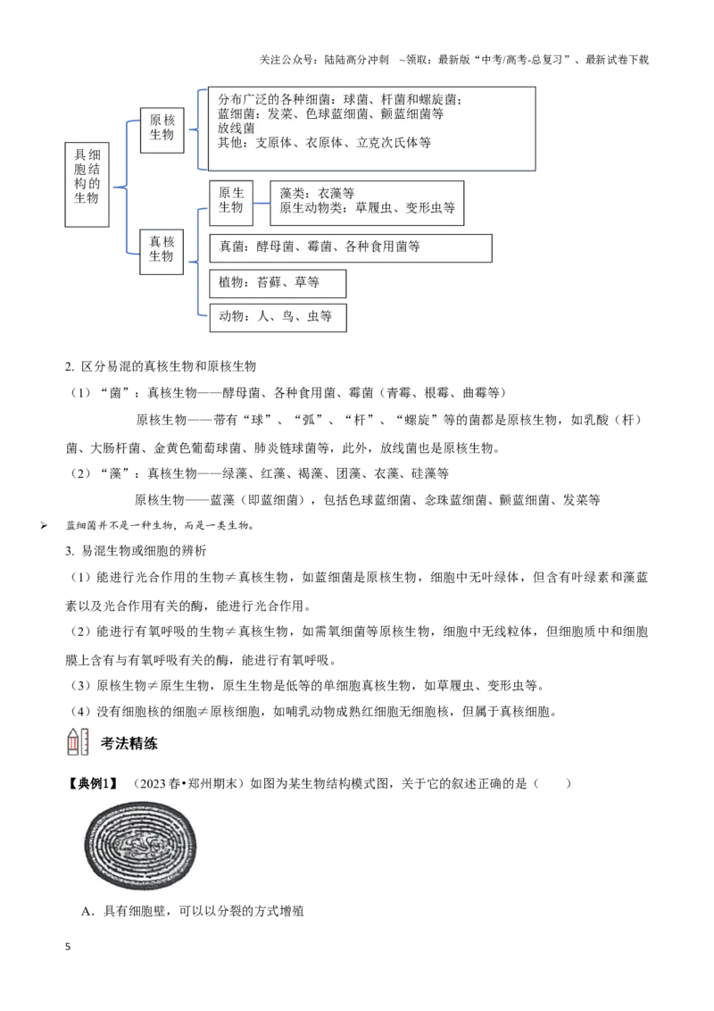 《考点5&6细胞是生命的单位、细胞核和细胞膜（讲义）（原卷版）_06-生物-高考总复习_一轮复习_2024年_2023-2024学年高三生物一轮复习_资料》第5页预览
