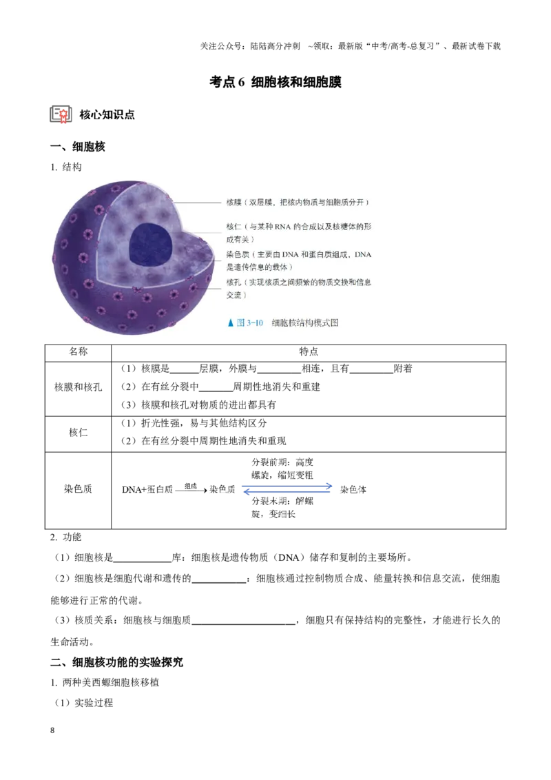 《考点5&6细胞是生命的单位、细胞核和细胞膜（讲义）（原卷版）_06-生物-高考总复习_一轮复习_2024年_2023-2024学年高三生物一轮复习_资料》第8页预览