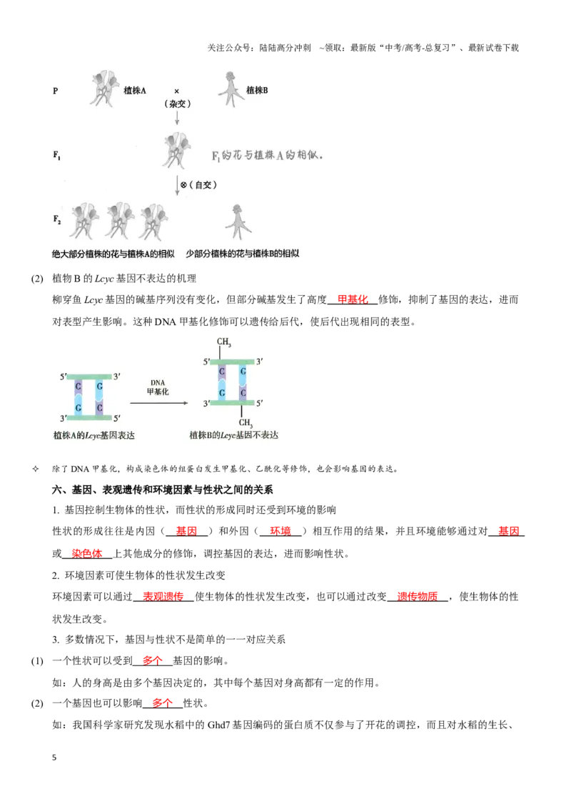 《考点23基因的表达（讲义）（解析版）_06-生物-高考总复习_一轮复习_2024年_2023-2024学年高三生物一轮复习_资料》第5页预览