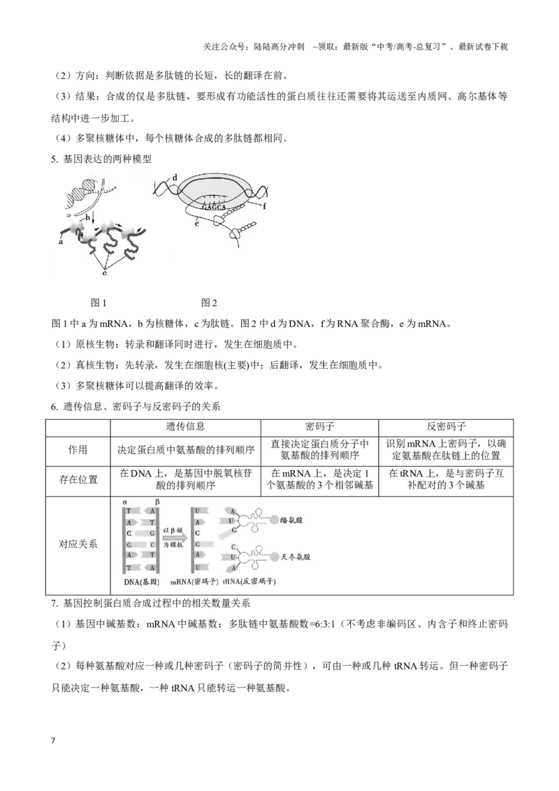 《考点23基因的表达（讲义）（解析版）_06-生物-高考总复习_一轮复习_2024年_2023-2024学年高三生物一轮复习_资料》第7页预览