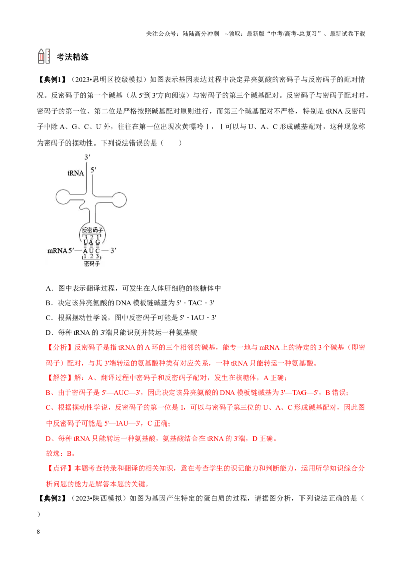 《考点23基因的表达（讲义）（解析版）_06-生物-高考总复习_一轮复习_2024年_2023-2024学年高三生物一轮复习_资料》第8页预览