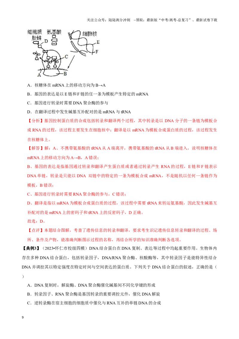 《考点23基因的表达（讲义）（解析版）_06-生物-高考总复习_一轮复习_2024年_2023-2024学年高三生物一轮复习_资料》第9页预览