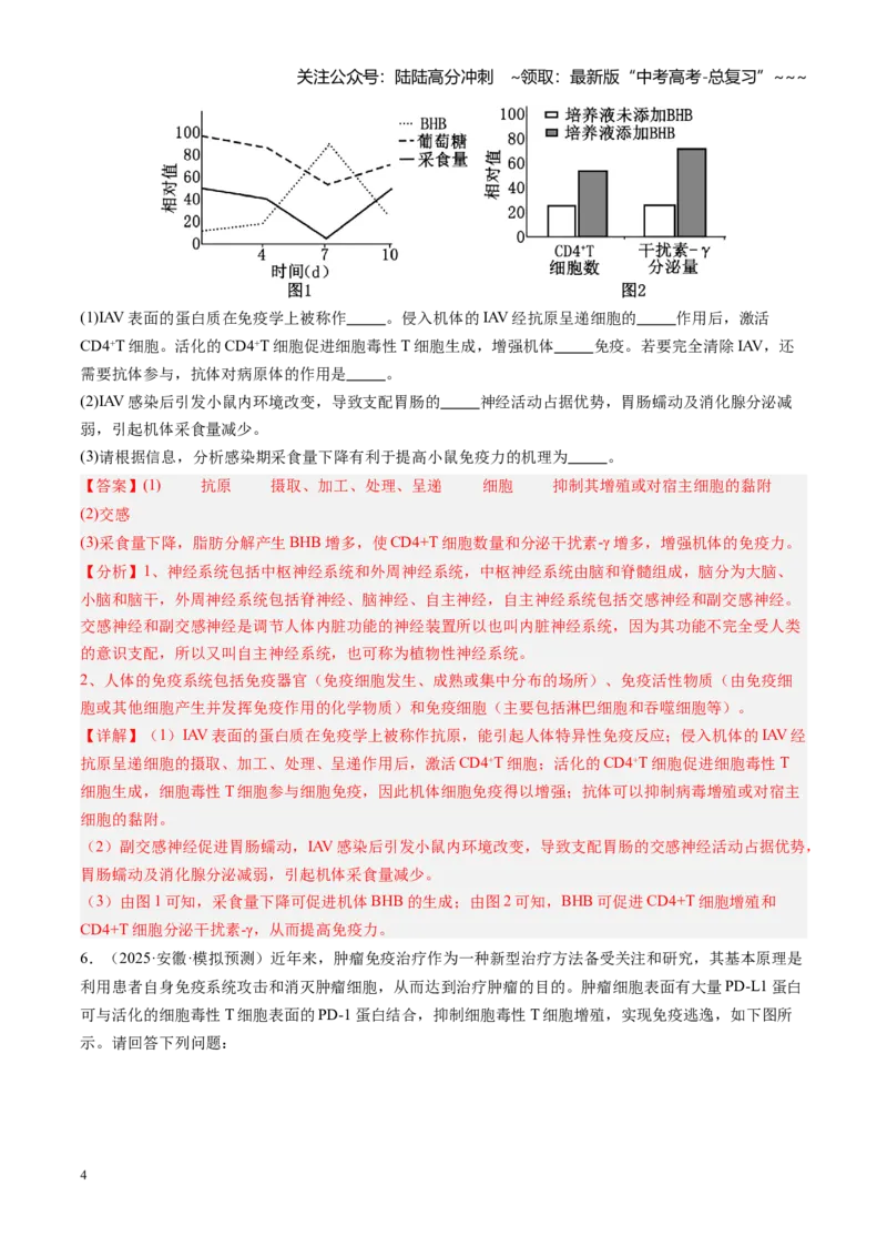 《第29讲免疫调节（专项训练）（安徽专用）（教师版）_06-生物-高考总复习_一轮复习_2026年-生物高考一轮复习_2026年高考生物一轮课件+讲义+练习（安徽专用）-G326》第4页预览