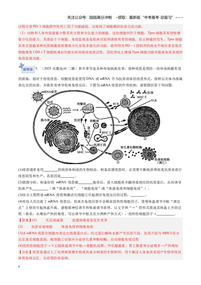 《第29讲免疫调节（专项训练）（安徽专用）（教师版）_06-生物-高考总复习_一轮复习_2026年-生物高考一轮复习_2026年高考生物一轮课件+讲义+练习（安徽专用）-G326》第9页预览