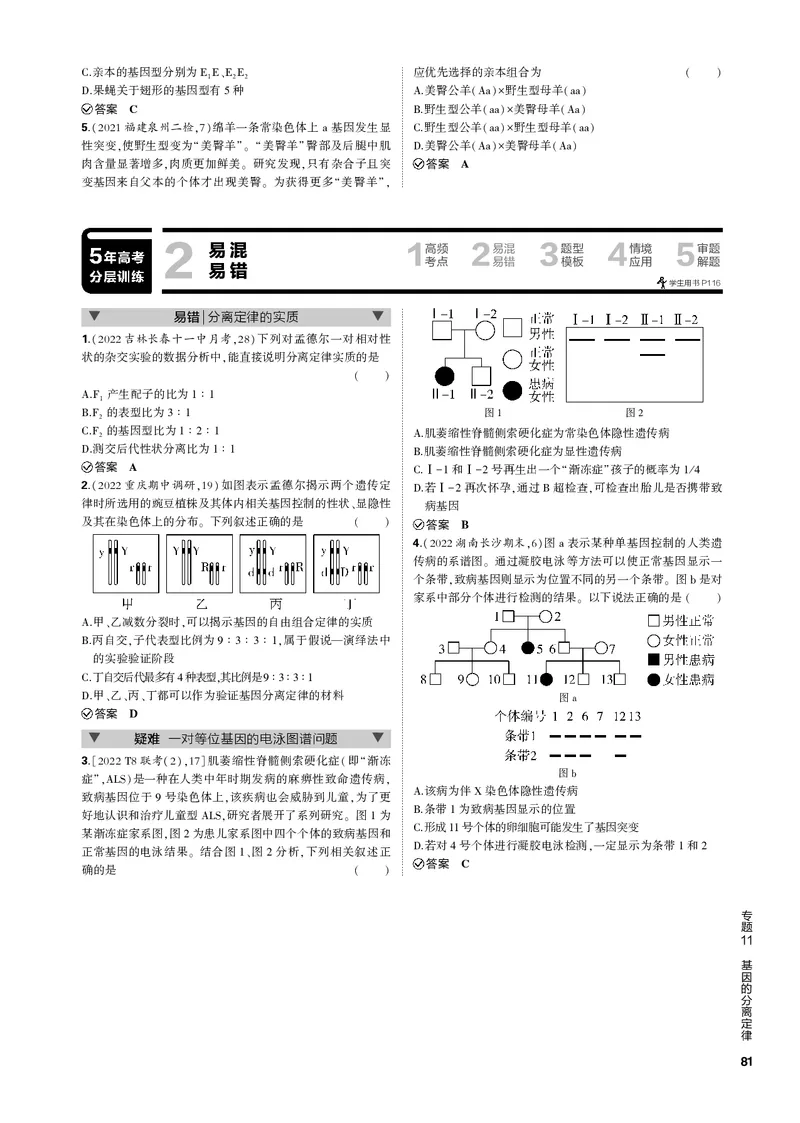 《1_专题11　基因的分离定律(PDF版）_2023版教学资源包_2023版新高考新教材版选考总复习生物5·3B版_11_专题十一基因的分离定律_4_专题电子书》第2页预览