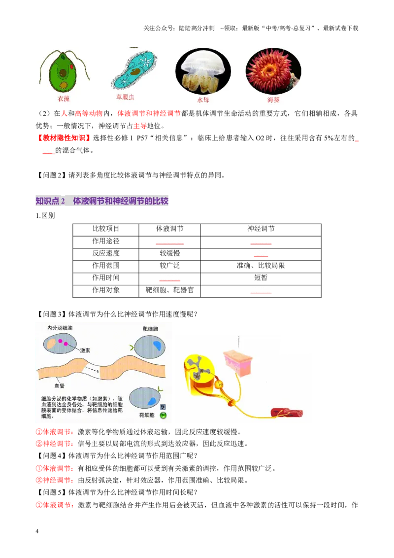 《第27讲体液调节与神经调节的关系（讲义）（学生版）_06-生物-高考总复习_一轮复习_2025年_2025年高考生物一轮复习讲义+练习+课件（新教材新高考）_第八单元稳态与调节》第4页预览