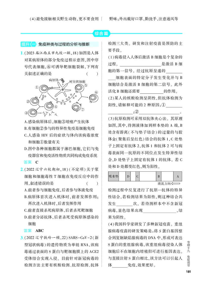 《1_19-专题十九　免疫调节（教参电子书—分层集训）_2024版教学资源包_2024版.新高考版生物.5·3A版_19_专题十九免疫调节_4_PDF教参电子书》第4页预览