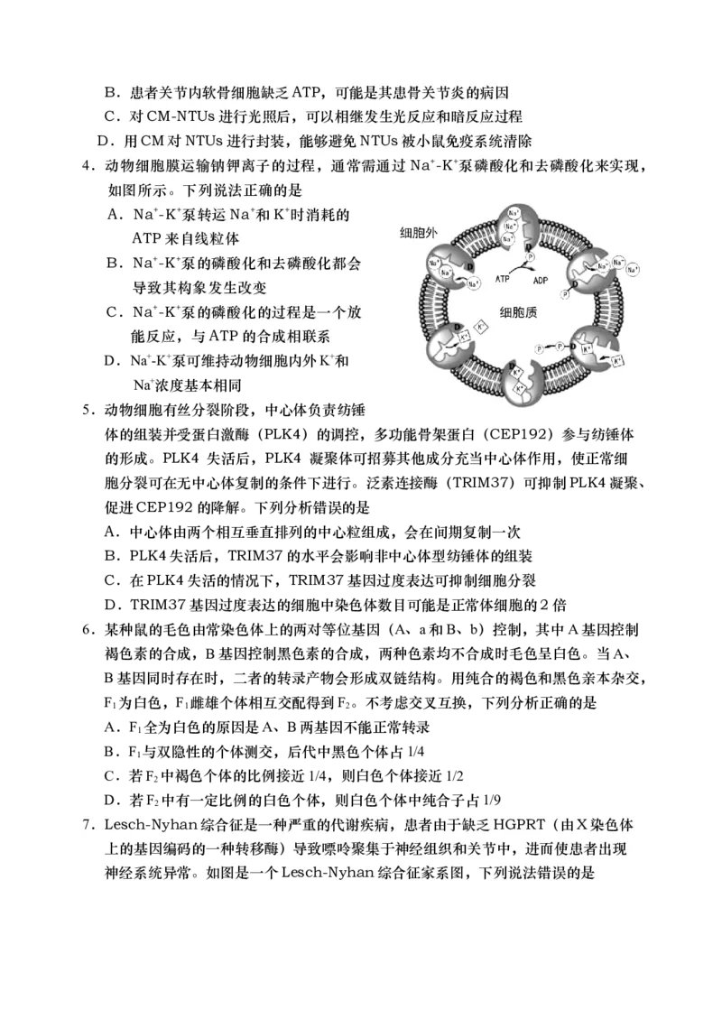 《19_2024山东青岛市一模（试卷+答案）_2025版教学资源包_（总复习系列）2025版《5年高考3年模拟》新高考版B版（⭐全科）_2025版.新高考新教材版.选考总复习.生物.5·3B版_1_资源拓展》第2页预览