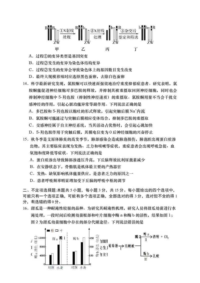 《19_2024山东青岛市一模（试卷+答案）_2025版教学资源包_（总复习系列）2025版《5年高考3年模拟》新高考版B版（⭐全科）_2025版.新高考新教材版.选考总复习.生物.5·3B版_1_资源拓展》第5页预览
