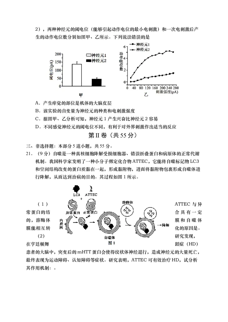 《19_2024山东青岛市一模（试卷+答案）_2025版教学资源包_（总复习系列）2025版《5年高考3年模拟》新高考版B版（⭐全科）_2025版.新高考新教材版.选考总复习.生物.5·3B版_1_资源拓展》第7页预览