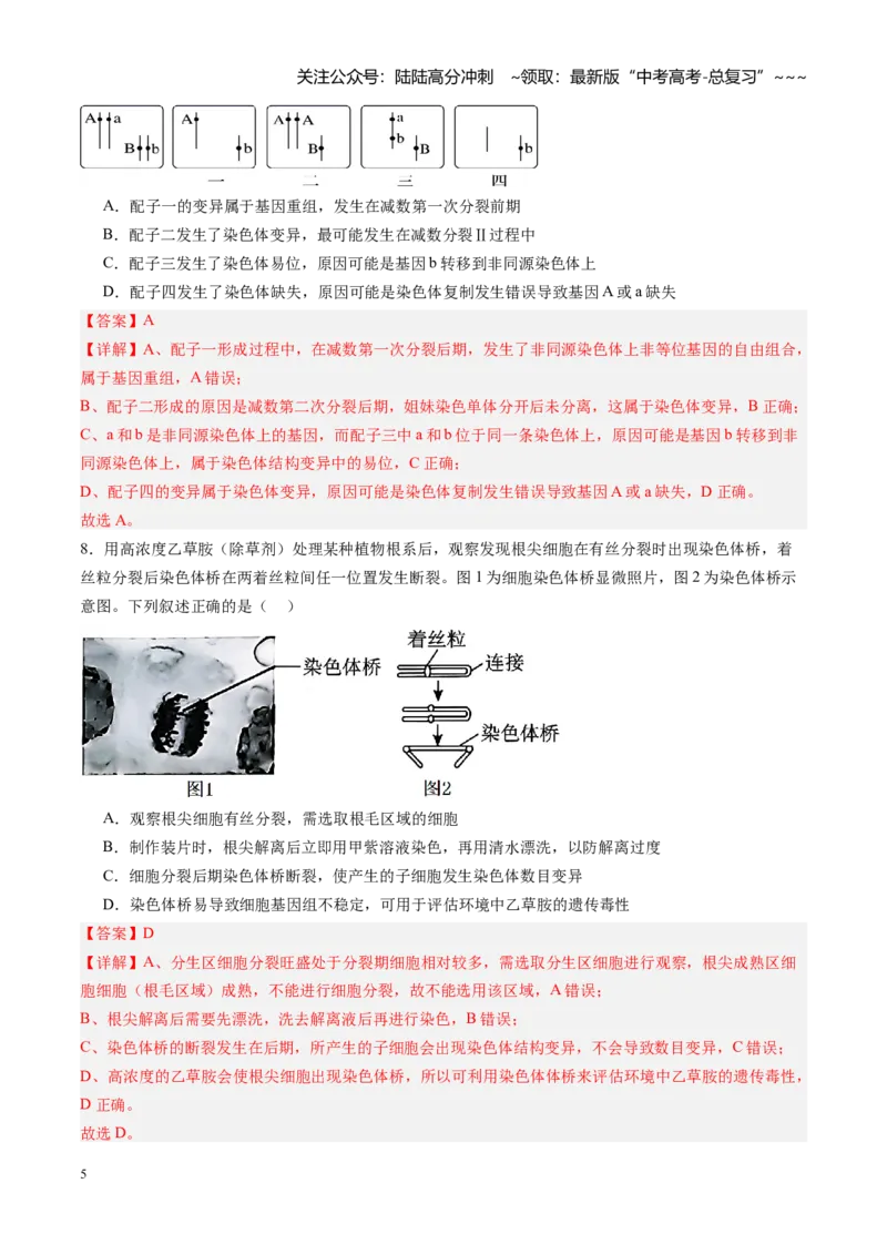 《第25讲染色体变异与育种（专项训练）（福建专用）（教师版）_06-生物-高考总复习_一轮复习_2026年-生物高考一轮复习_2026年高考生物一轮课件+讲义+练习（福建专用）-G328》第5页预览