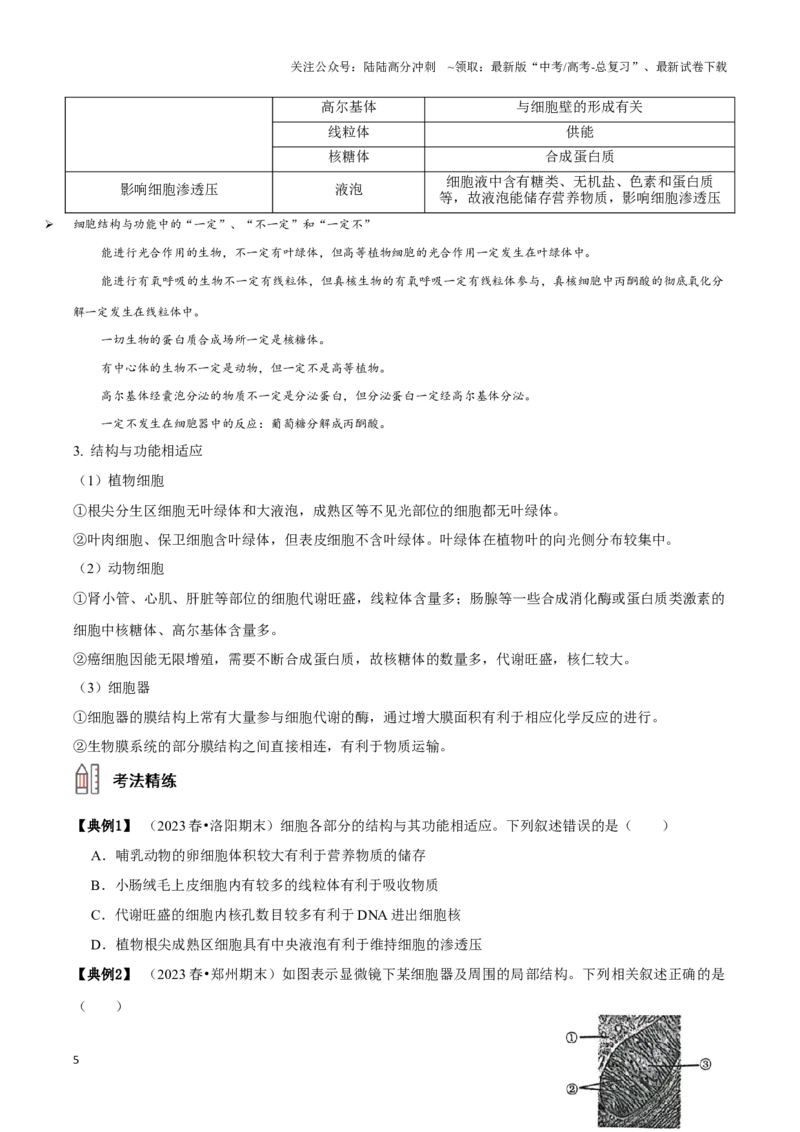 《考点7细胞器和生物膜系统（讲义）（原卷版）_06-生物-高考总复习_一轮复习_2024年_2023-2024学年高三生物一轮复习_资料》第5页预览