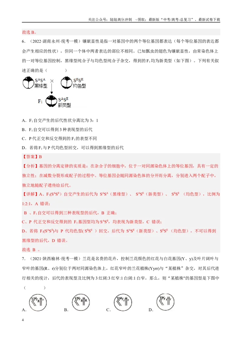 《解密11基因的分离与自由组合定律（分层训练）-高频考点解密2023年高考生物二轮复习讲义+分层训练（新教材）（解析版）_06-生物-高考总复习_二轮复习_2024年_资料》第4页预览
