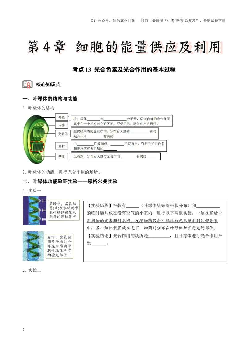 《考点13&考点14光合色素及光合作用的基本过程光合作用的影响因素及应用（讲义）（原卷版）_06-生物-高考总复习_一轮复习_2024年_2023-2024学年高三生物一轮复习_资料》第1页预览