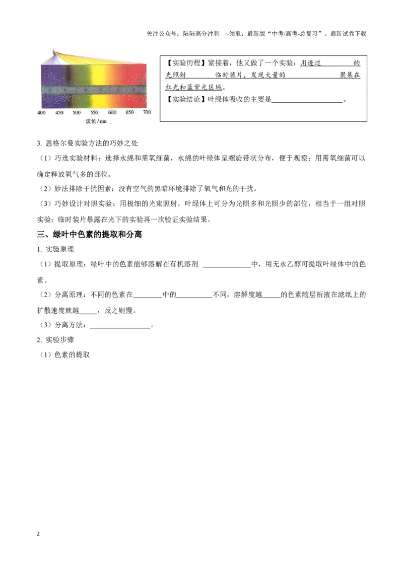 《考点13&考点14光合色素及光合作用的基本过程光合作用的影响因素及应用（讲义）（原卷版）_06-生物-高考总复习_一轮复习_2024年_2023-2024学年高三生物一轮复习_资料》第2页预览