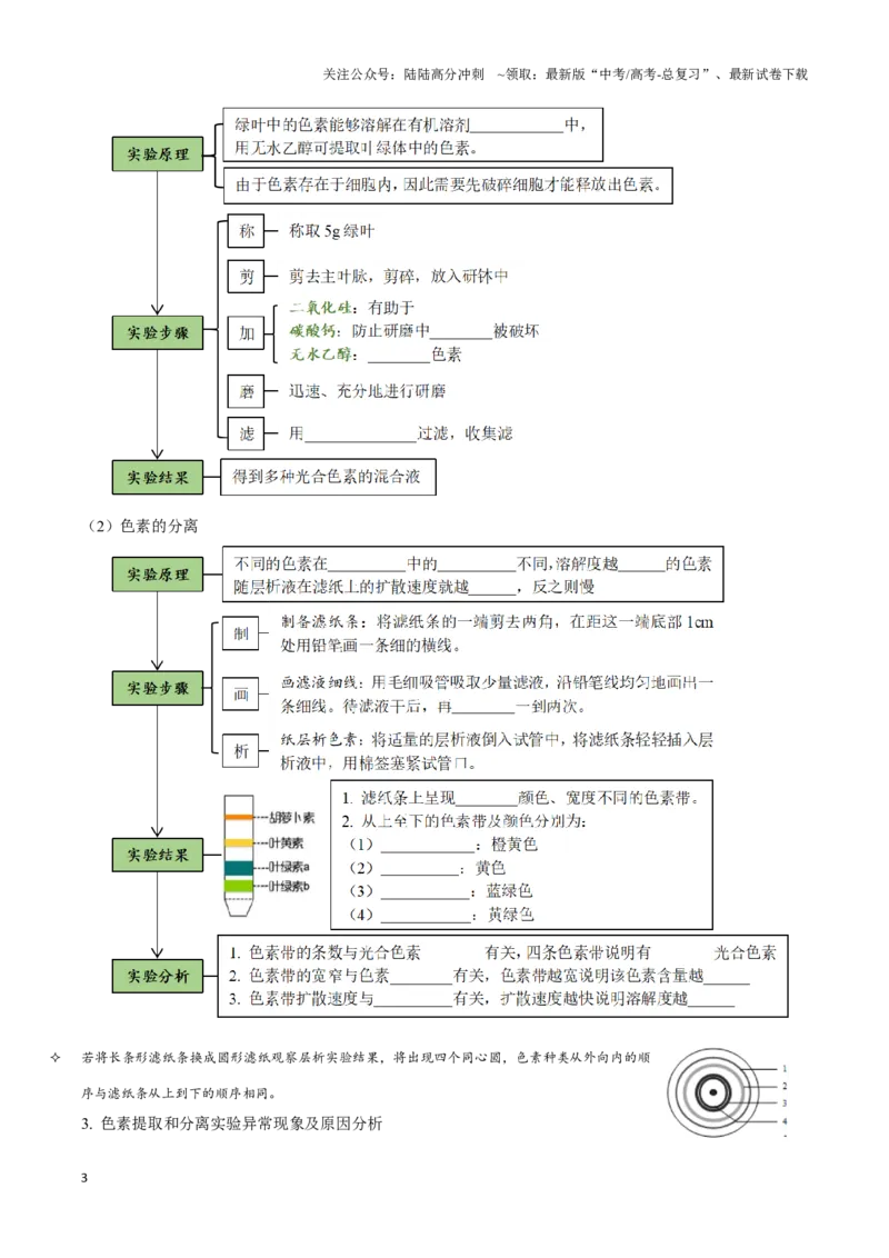 《考点13&考点14光合色素及光合作用的基本过程光合作用的影响因素及应用（讲义）（原卷版）_06-生物-高考总复习_一轮复习_2024年_2023-2024学年高三生物一轮复习_资料》第3页预览