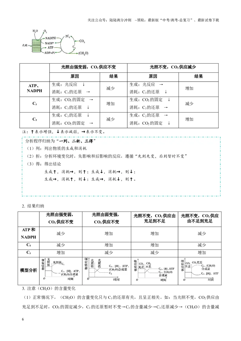 《考点13&考点14光合色素及光合作用的基本过程光合作用的影响因素及应用（讲义）（原卷版）_06-生物-高考总复习_一轮复习_2024年_2023-2024学年高三生物一轮复习_资料》第6页预览