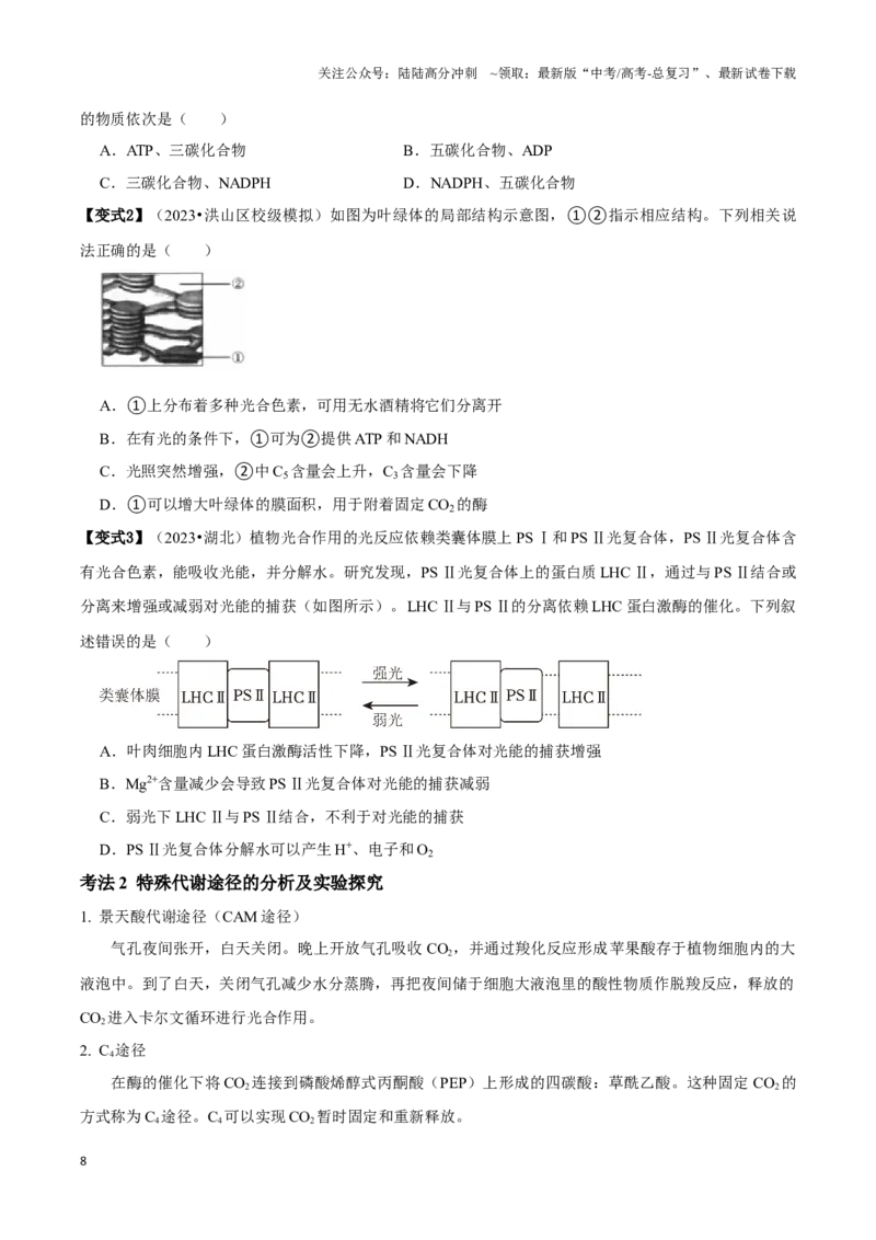 《考点13&考点14光合色素及光合作用的基本过程光合作用的影响因素及应用（讲义）（原卷版）_06-生物-高考总复习_一轮复习_2024年_2023-2024学年高三生物一轮复习_资料》第8页预览