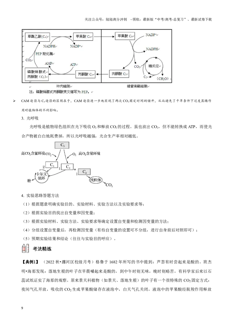 《考点13&考点14光合色素及光合作用的基本过程光合作用的影响因素及应用（讲义）（原卷版）_06-生物-高考总复习_一轮复习_2024年_2023-2024学年高三生物一轮复习_资料》第9页预览