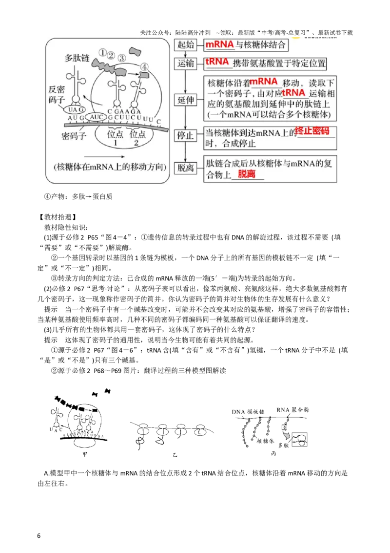 《第22讲基因的表达、基因与性状的关系（讲义）（学生版）_06-生物-高考总复习_一轮复习_2024年_2024年高考生物一轮复习讲练测(课件+讲义+练习)（新高考）_讲义+练习》第6页预览